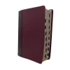 Defending the Faith Study Bible