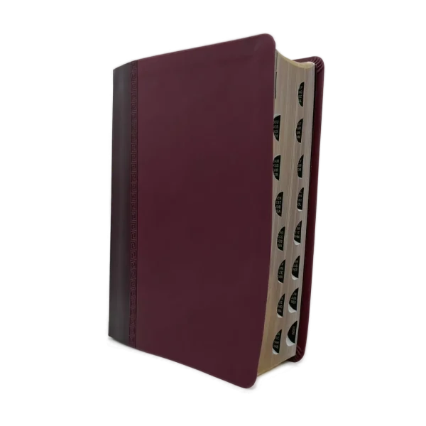 Defending the Faith Study Bible